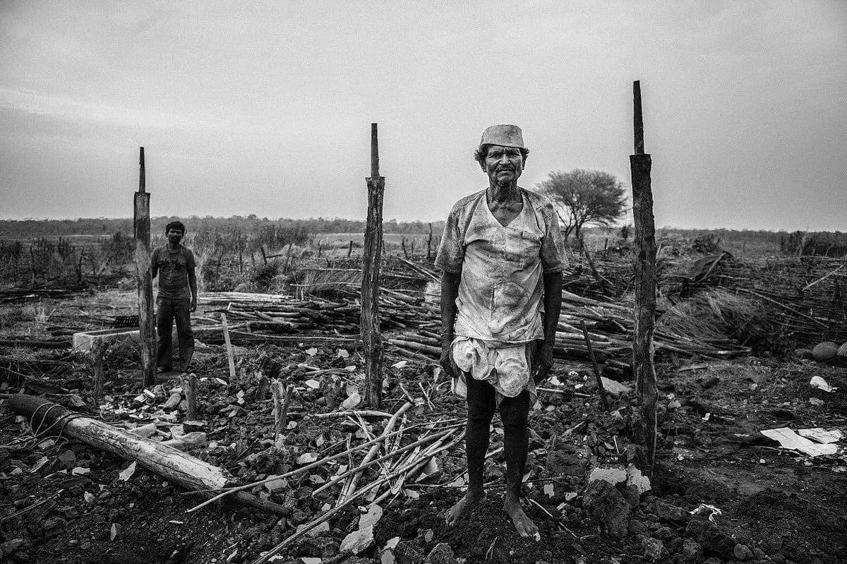 புகைப்பட கலைக்கான ஆஸ்கர் விருது.. WPPh சர்வதேச விருதைப் பெறும் முதல் தமிழர் : யார் இந்த செந்தில் குமரன்?