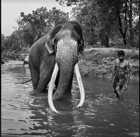 தென்னிந்தியாவிலேயே முதல் முறையாக மிகஉயரிய World Press விருது பெறும் தமிழர்.. யார் இந்த செந்தில் குமரன்?