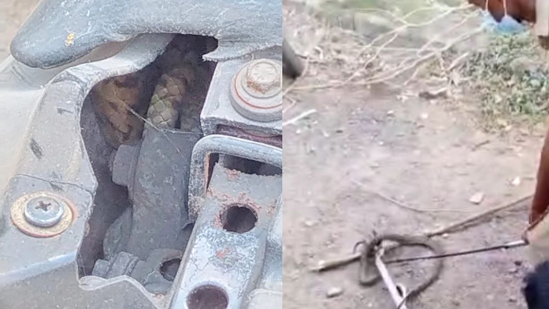 பிடிக்க பிடிக்க எகிறிய சாரைப்பாம்பு; பைக்கில் புகுந்த 5அடிநீள பாம்பை பிடித்த சென்னை தீயணைப்புத்துறையினர்!