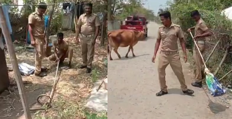 மயிலுக்கு பயந்து வீட்டுக்குள் புகுந்த சாரைப்பாம்பு; நாகூர் அருகே அலறியடித்து ஓடிய குடியிருப்பு வாசிகள்!