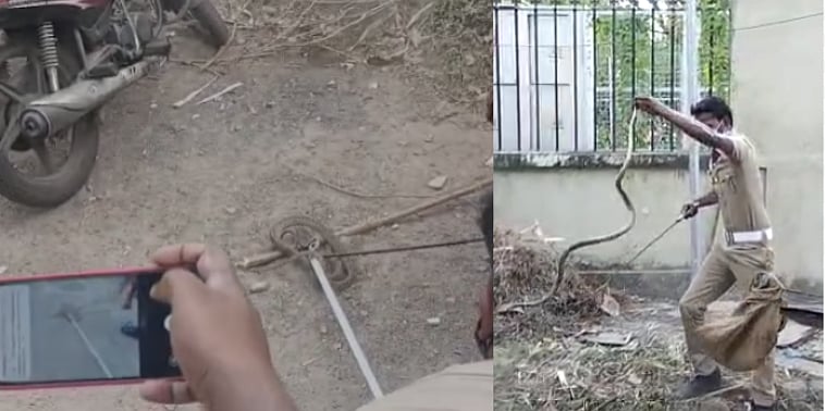 பிடிக்க பிடிக்க எகிறிய சாரைப்பாம்பு; பைக்கில் புகுந்த 5அடிநீள பாம்பை பிடித்த சென்னை தீயணைப்புத்துறையினர்!