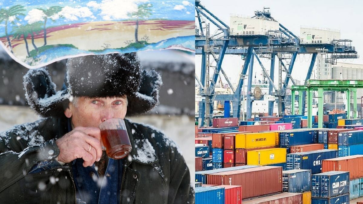 நீலகிரி தேயிலையை விரும்பும் ரஷ்ய - உக்ரைன் மக்கள்.. ‘4 கோடி கிலோ’ தேயிலை ஏற்றுமதி தேக்கம் : பகீர் தகவல் !