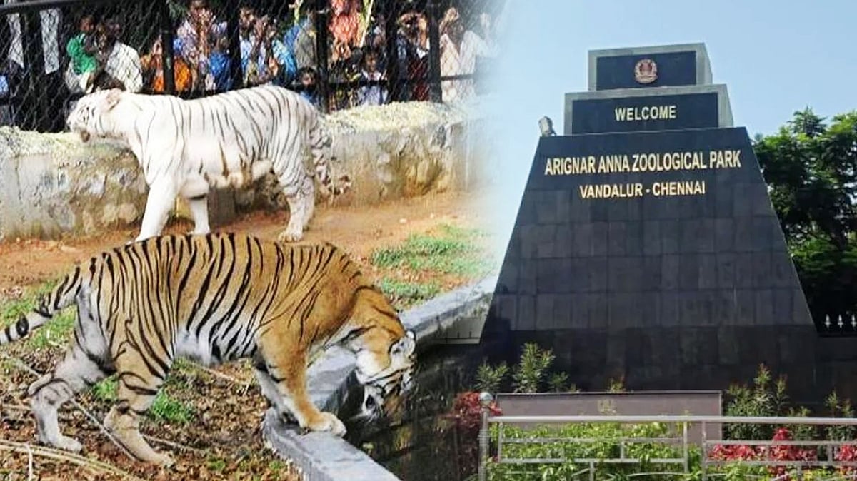 “விலங்குகள் பாதுகாப்பில் அக்கறை காட்டும் அரசு..” : வண்டலூர் உயிரியல் பூங்காவிற்கு நிதி ஒதுக்கிய முதல்வர்!