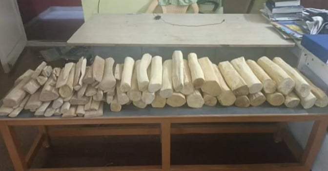 சிறிது சிறிதாக 96 துண்டுகள்: சொகுசு காரில் கடத்தி வந்த 75 கிலோ சந்தன கட்டைகள்.. திருவள்ளூர் போலிஸ் அதிரடி