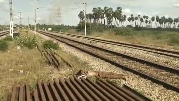 காதலியை அரிவாளால் வெட்டிவிட்டு ரயில் முன் பாய்ந்த காதலன்: உறவுக்கு இணங்க மறுத்ததால் வெறிச்செயல்!