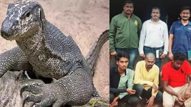 “அரிய வகை உயிரினத்திற்கு பாலியல் துன்புறுத்தல் ?” : 3 வாலிபர்களின் கொடூர செயல் : விசாரணையில் போலிஸ் ஷாக்!