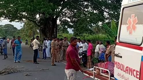 திடீரென குறுக்கே வந்த மாடு.. நிலைதடுமாறி விழுந்த வாகனம் : மகன் கண்முன்னே தாய்க்கு நேர்ந்த கொடூரம்!