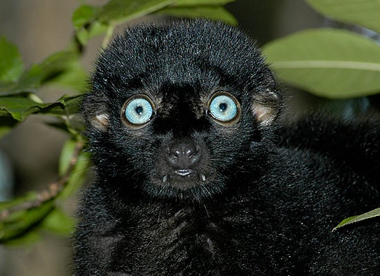 50 ஆண்டுகளுக்குப் பிறகு நூலகத்திற்கு திரும்பிய புத்தகம்.. அபராதம் எவ்வளவு தெரியுமா?