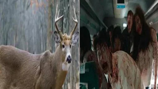 கடைசியில் Zombie நோயும் வந்துவிட்டதா? : கனடாவில் பரவும் விசித்திரமான நோய் மனிதர்களை பாதிக்குமா?