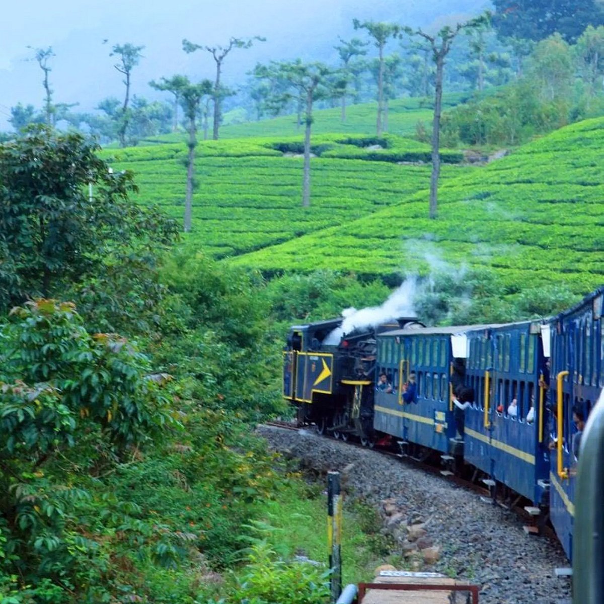 உலக பாரம்பரிய தினம் : தமிழர்கள் கொண்டாடும் யுனெஸ்கோ அங்கீகரித்த ‘ஊட்டி மலை ரயில்’ பற்றி தெரியுமா?