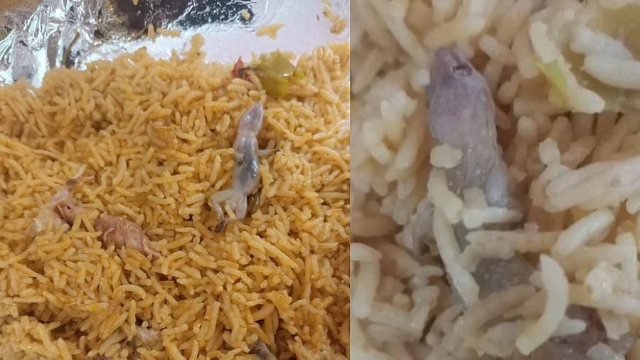 அமித்ஷாவை எதிர்த்து போராடியவர்களுக்கு பல்லி விழுந்த பிரியாணி கொடுத்த போலிஸ்.. புதுவையில் பரபரப்பு!