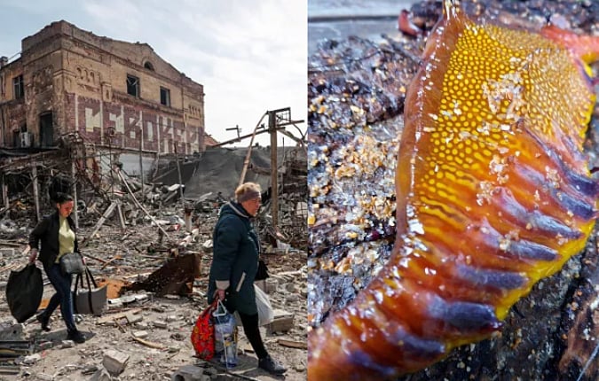 ரஷ்யாவிலிருந்து மூட்டையை கட்டிய இன்ஃபோசிஸ்; பாக்., பிரதமரை வாழ்த்திய அமெரிக்கா: உலகச் செய்திகளின் துளிகள்