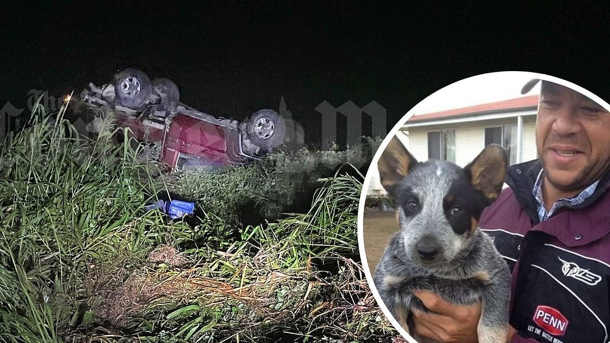 “சைமண்ட்ஸின் கடைசி நிமிடங்கள்.. வளர்ப்பு நாய் செய்த காரியம் தெரியமா?” : நேரில் பார்த்த பெண் உருக்கம்!