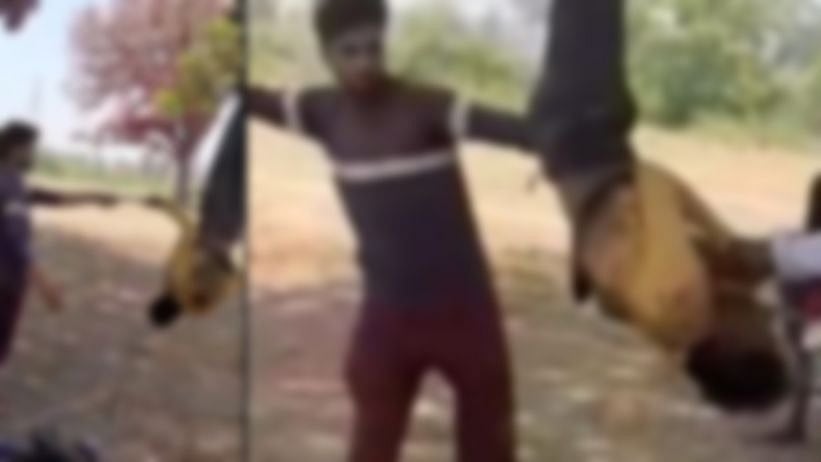 தலைகீழாக தொங்கவிட்டு கொடூர தாக்குதல்.. இளைஞருக்கு நேர்ந்த அவலம் - குலைநடுங்க வைக்கும் வீடியோ காட்சி!