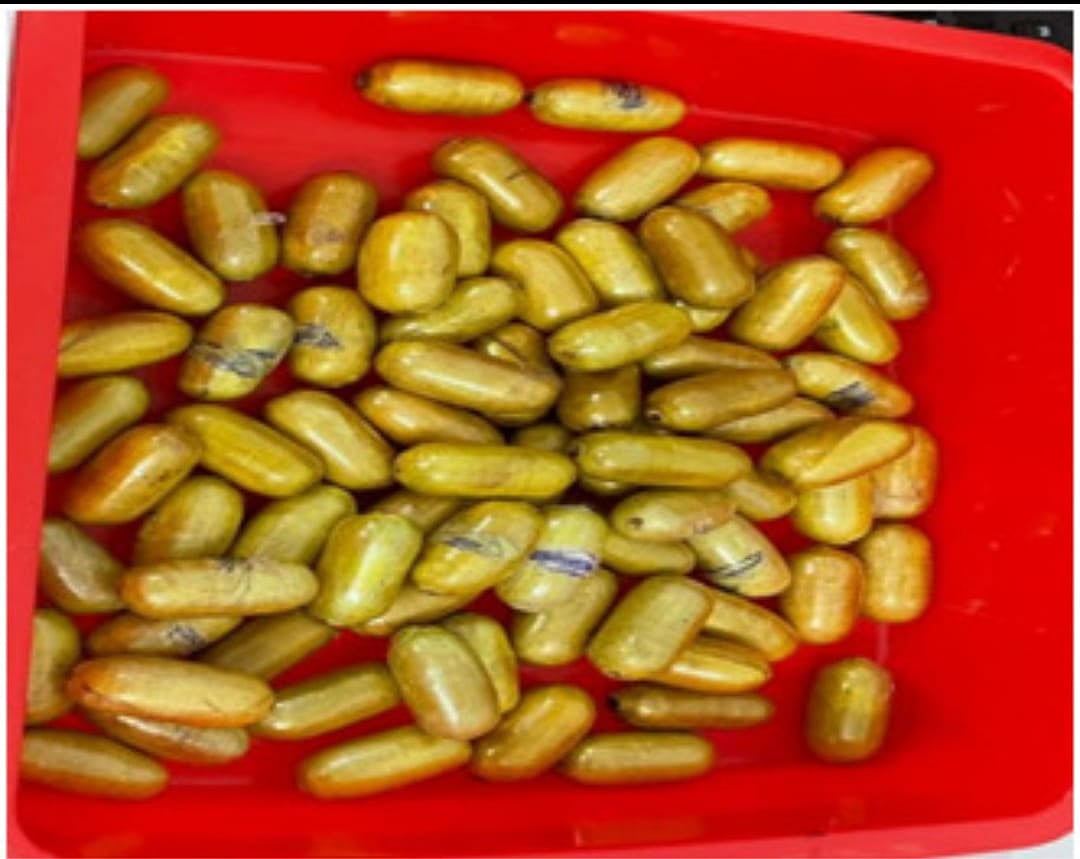 வயிற்றில் ரூ.6.58 கோடி ஹெராயின்.. மிரண்டுப்போன அதிகாரிகள்.. சூர்யா பட பாணியில் சர்வதேச கடத்தல்காரர் கைது!