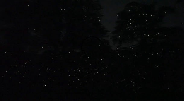 “கோடிக்கணக்கான மின்மினிப் பூச்சிகளின் பிரம்மிப்பூட்டும் ஒளி நடனம்” - ஆனைமலையில் நடந்த அபூர்வ நிகழ்வு!