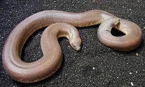 சட்ட ஆலோசனை.. விரைவில் எடப்பாடி பழனிசாமி மீது நடவடிக்கை : சேலம் மாவட்ட காவல் கண்காணிப்பாளர் சொல்வது என்ன?