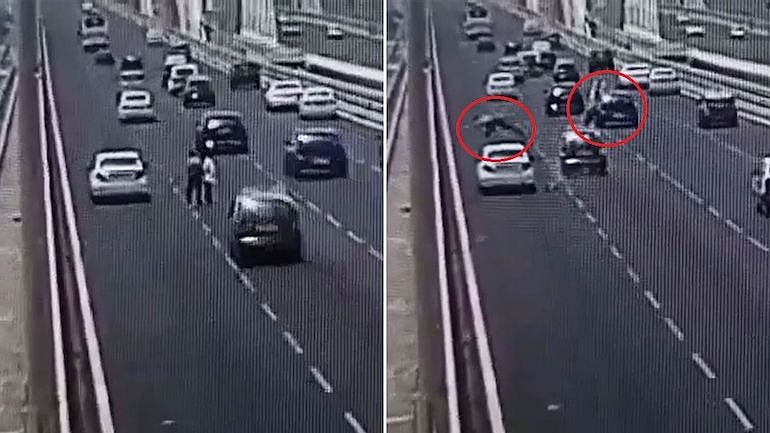 காரை நிறுத்தி கழுகை காப்பாற்ற முயன்ற 2 பேர்.. இடித்துத் தள்ளிய மற்றொரு கார்: அதிர்ச்சி வீடியோ!