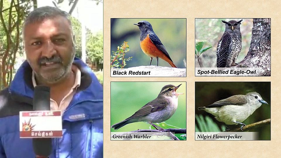 “இந்த பூமி பறவைகளுக்கும் சொந்தமானது” : 198 பறவை இனங்களை புகைப்படம் எடுத்து அசத்திய ரியல் ‘பக்ஷி ராஜா’ !