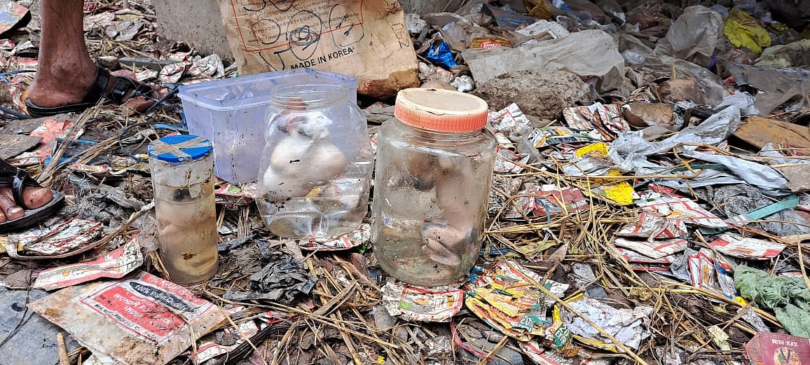 கண்ணாடி பாட்டில்களில் கண்டெடுக்கப்பட்ட 7 சிசுக்களின் சடலங்கள்.. நெஞ்சை பதற வைக்கும் பகீர் புகைப்படங்கள் !