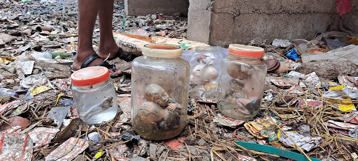 கண்ணாடி பாட்டில்களில் கண்டெடுக்கப்பட்ட 7 சிசுக்களின் சடலங்கள்.. நெஞ்சை பதற வைக்கும் பகீர் புகைப்படங்கள் !