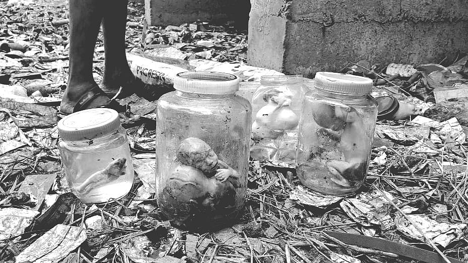 கண்ணாடி பாட்டில்களில் கண்டெடுக்கப்பட்ட 7 சிசுக்களின் சடலங்கள்.. நெஞ்சை பதற வைக்கும் பகீர் புகைப்படங்கள் !