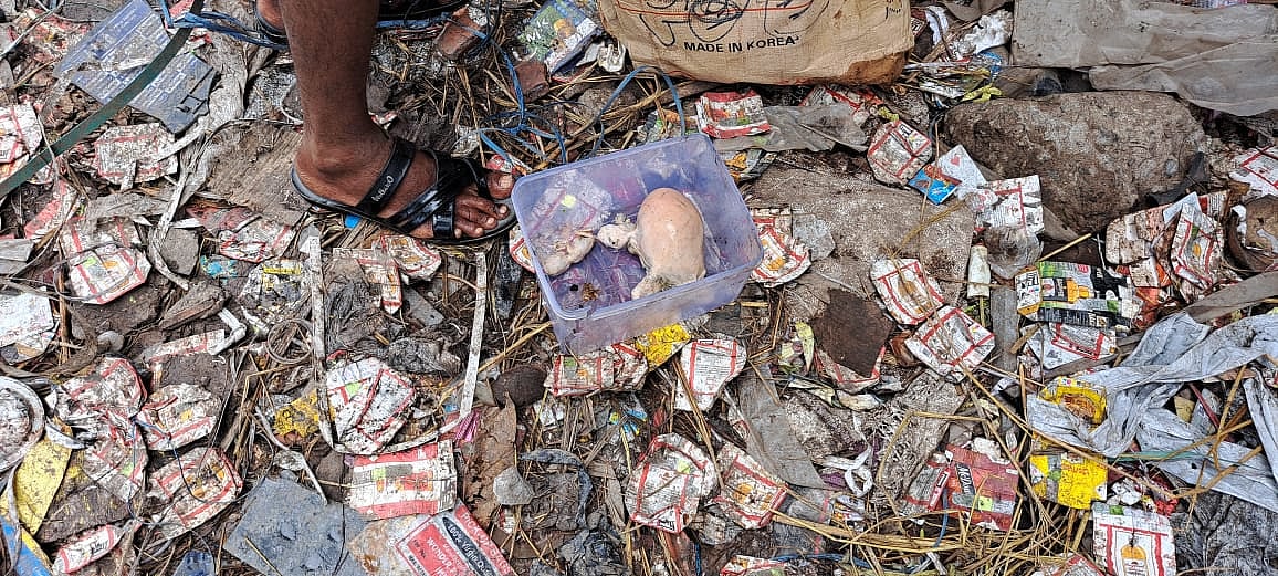 கண்ணாடி பாட்டில்களில் கண்டெடுக்கப்பட்ட 7 சிசுக்களின் சடலங்கள்.. நெஞ்சை பதற வைக்கும் பகீர் புகைப்படங்கள் !