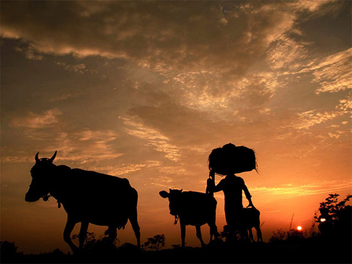 ஹெலிகாப்டர் பிசினஸ் பன்னனும்.. ரூ.6.65 கோடி கடன் கொடுங்க : வங்கியில் முறையிட்ட விவசாயி!