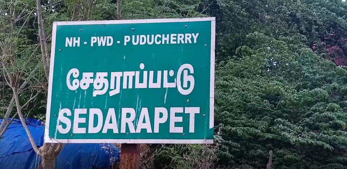 விஷ குளவி கொட்டியதால் நடந்த விபரீதம்.. முகம் வீங்கி முதியவர் பரிதாப பலி!