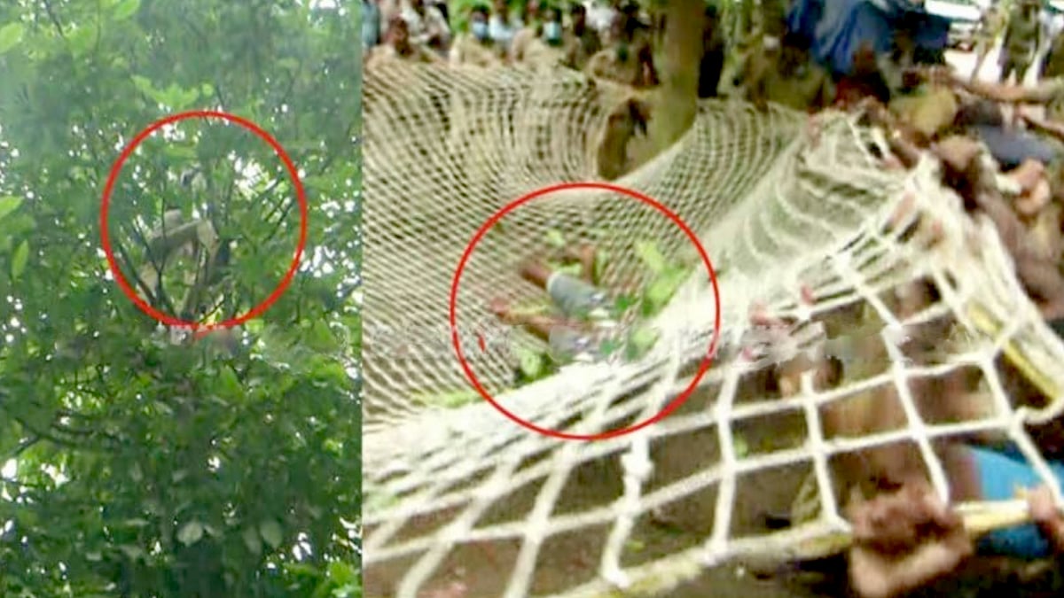 "சிலுவண்டு சிக்கும் ஆனா சிறுத்த.. சிக்கிடுச்சே!" - தப்பித்த சிறை கைதி.. வலை விரித்து பிடித்த போலிஸ் !