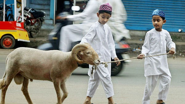 “தியாகப் பெருநாளாம் பக்ரீத் பண்டிகை..” : நாடு முழுவதும் இஸ்லாமியர்கள் கொண்டாட்டம் ! (புகைப்படங்கள்)