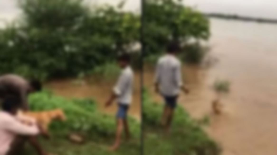 நாயின் கழுத்தில் கல்லை கட்டி உயிரோடு ஆற்றில் வீசிய இளைஞர்கள்.. மகாராஷ்டிராவில் நடந்த அதிர்ச்சி வீடியோ!