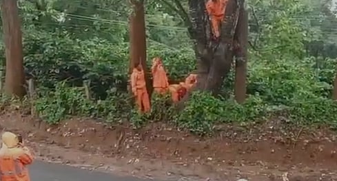 காட்டாற்று வெள்ளத்தில் அடித்து செல்லப்பட்ட  பெண்.. சுற்றுலா வந்த இடத்தில் நடந்த துயரம்!