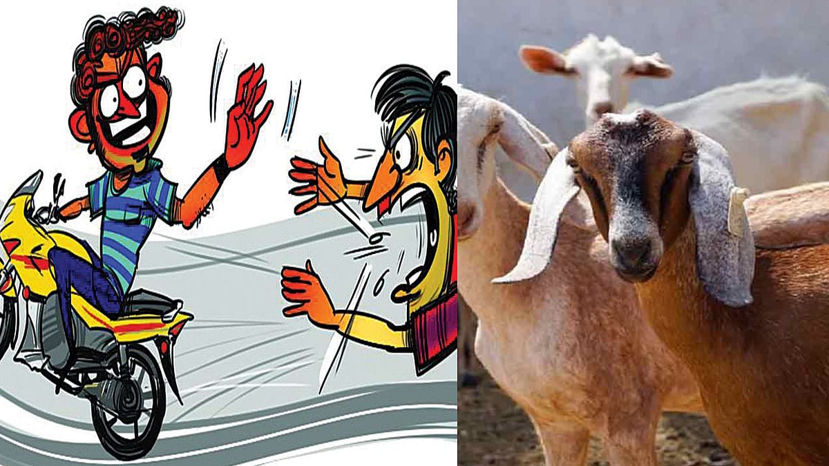 திருட்டு பைக்கில் ஆடு திருடிய கும்பல்.. விரட்டி பிடித்த பொதுமக்கள்.. நடந்தது என்ன ?