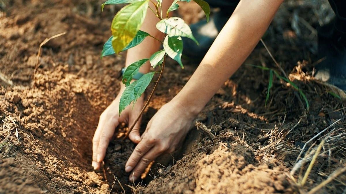 "தள்ளி நில்லுங்கள்,நீங்கள் கிட்ட வந்தால் மரம் கருகிவிடும்"-பழங்குடி மாணவிகளை கண்டித்த அறிவியல் ஆசிரியர்! 