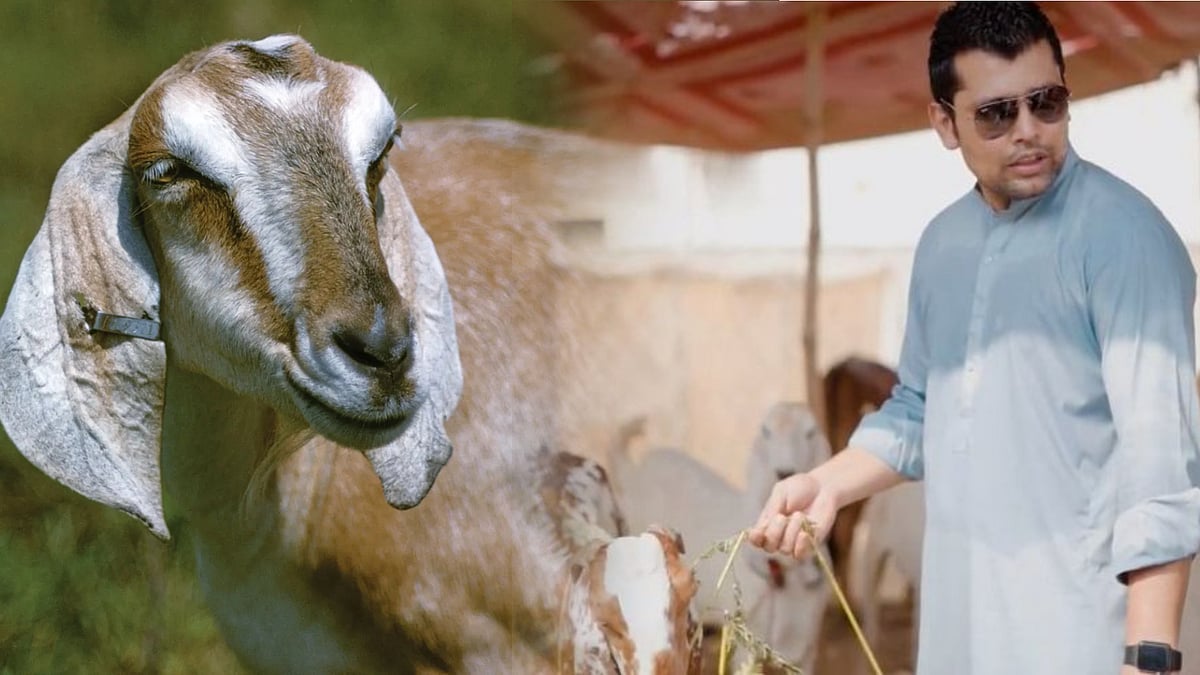 “பக்ரீத்துக்கு பிரியாணிக்கு போட வைச்சிருந்த லட்ச ரூபாய் ஆட்டை திருடிட்டாங்க” - கிரிக்கெட் வீரர் குமுறல் !