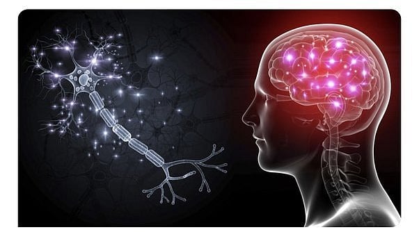 அசாமை புரட்டி போடும் ஜப்பானிய மூளை காய்ச்சல்..160 பேர் பாதிப்பு,23 பேர் பலி! பொதுமக்களுக்கு எச்சரிக்கை!