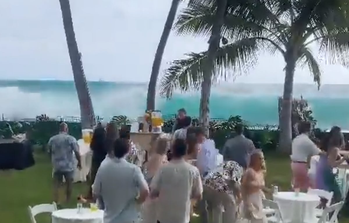 "ஒரே அலை தான்.. பார்ட்டி மொத்தமும் க்ளோஸ்.." - திருமணத்திற்கு விருந்தாளியாக வந்த பேரலை: வைரலாகும் வீடியோ!