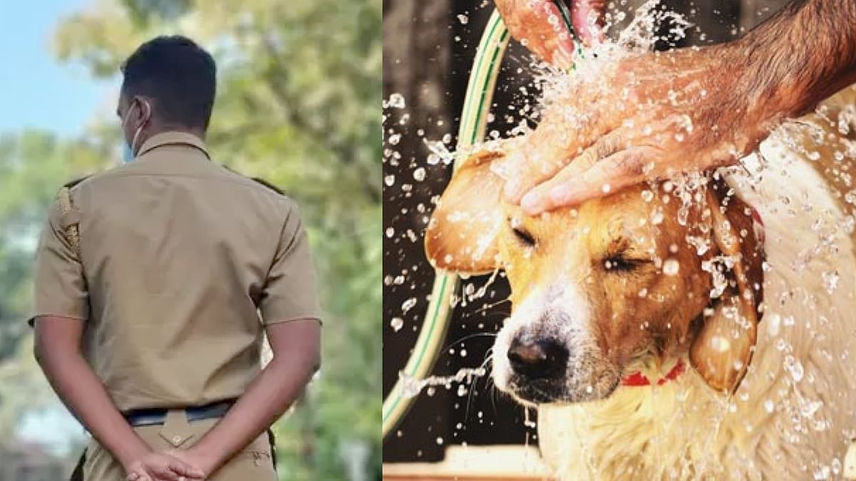 நாயை குளிப்பாட்ட மறுத்த காவலர்.. கோபத்தில் சஸ்பெண்ட் செய்த எஸ்.பி. - கேரளாவில் நடந்தது என்ன ?