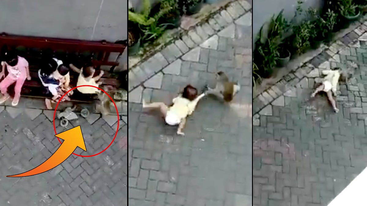 பொம்மை பைக்கில் வந்து குழந்தையை கடத்த முயன்ற குரங்கு.. வைரல் வீடியோவின் பின்னணி என்ன ?