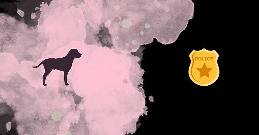 நாயை குளிப்பாட்ட மறுத்த காவலர்.. கோபத்தில் சஸ்பெண்ட் செய்த எஸ்.பி. - கேரளாவில் நடந்தது என்ன ?