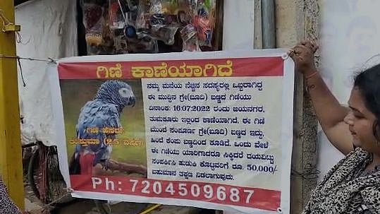 காணாமல் போன கிளியை கண்டுபிடித்தால் ரூ.50 ஆயிரம் பரிசு..  பேனர் வைத்து தேடும் குடும்பத்தின் பாச போராட்டம்!