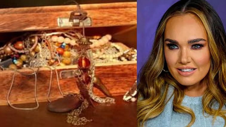 ரூ.247 கோடிக்கு நகைகள் திருட்டு.. கண்டுபிடிப்போருக்கு ரூ.57 கோடி பரிசு அறிவித்த கோடீஸ்வரரின் மகள்!