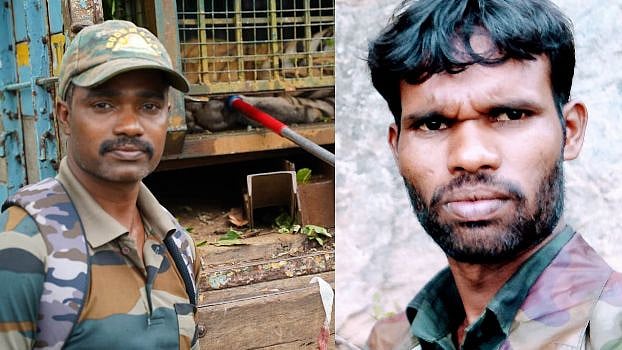புலியை உயிருடன் பத்திரமாக பிடித்த தமிழ்நாட்டு வேட்டை காவலர்களுக்கு சிறப்பு விருது.. குவியும் பாராட்டு!