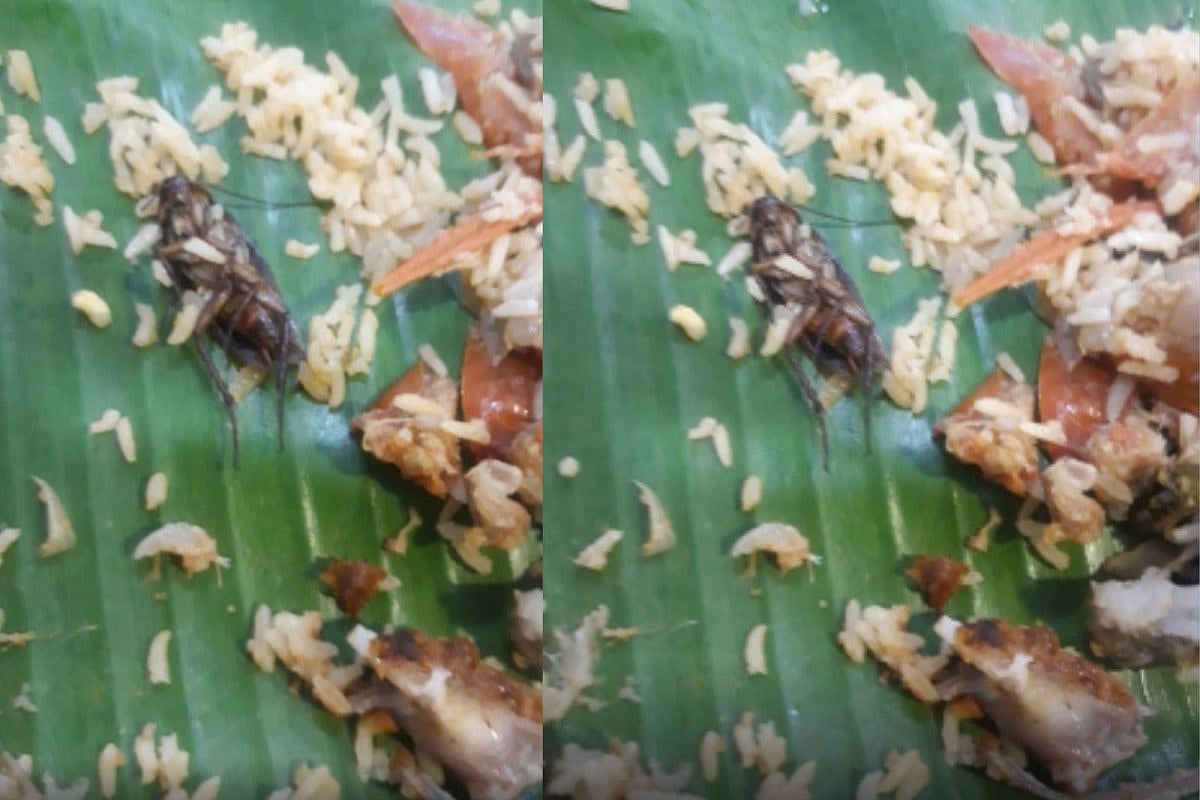 ஆர்டர் செய்ததோ மட்டன் பிரியாணி.. வந்ததோ கரப்பான் பூச்சி பிரியாணி: வாடிக்கையாளர் கடும் அதிர்ச்சி !