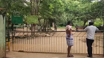 இணையத்தில் கிடைத்த இடம்.. தடை செய்யப்பட்ட வனப்பகுதிக்கு சுற்றுலா.. நீரில் மூழ்கி மருத்துவ மாணவர் பலி!