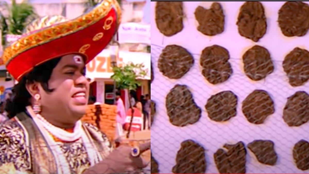 "மாடு எப்படினே சுவத்துல போய் ரவுண்டா சாணி போட்டுச்சு?" - IAS அதிகாரி பகிர்ந்த வீடியோ இணையத்தில் வைரல்..