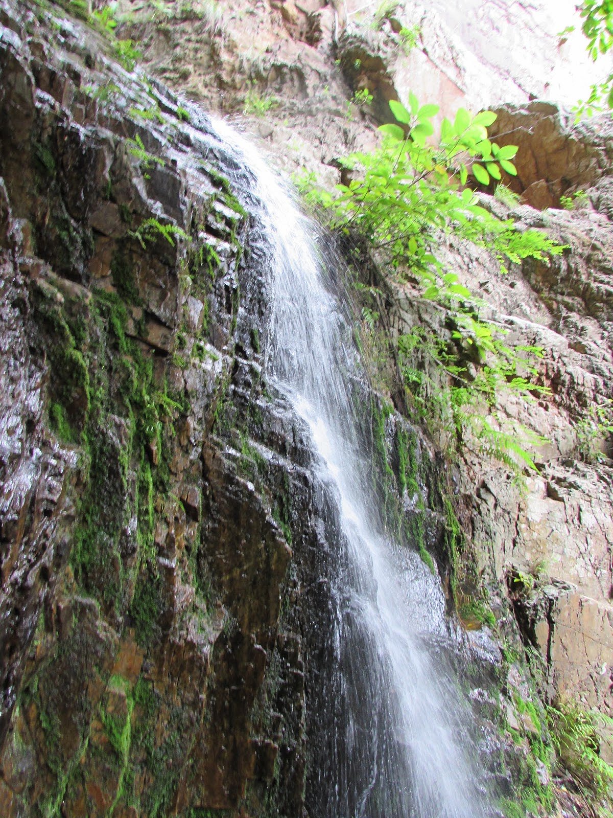 காட்டுக்கு அழைத்து சென்று காதல் மனைவி குத்திக் கொலை.. CCTV-யால் சிக்கிய கணவர் ! பின்னணி என்ன ?