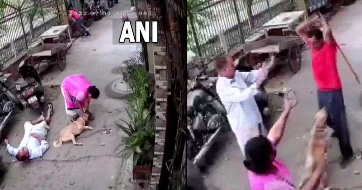 பக்கத்து வீட்டு நாய் குரைத்ததால் ஆத்திரம்.. நாய் உரிமையாளரை  இரும்பு கம்பியால் கொடூரமாக தாக்கிய நபர்!  