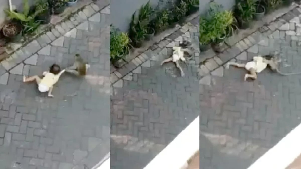 பொம்மை பைக்கில் வந்து குழந்தையை கடத்த முயன்ற குரங்கு.. வைரல் வீடியோவின் பின்னணி என்ன ?